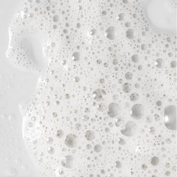 Black Friday BOGO Express